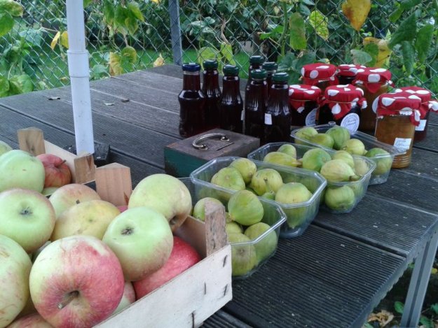 Ehrliche Bürger bezahlen freiwillig für frische Ernte...