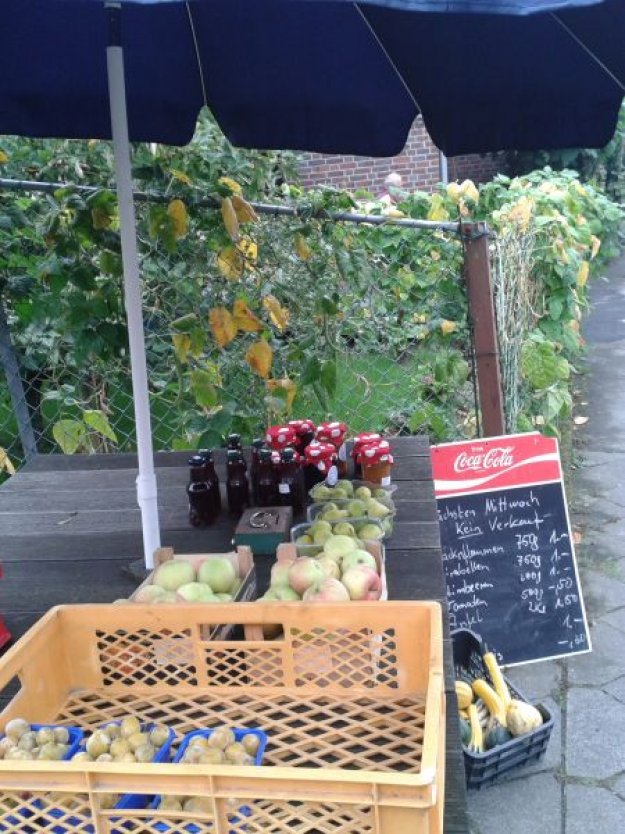 Ehrliche Bürger bezahlen freiwillig für frische Ernte...
